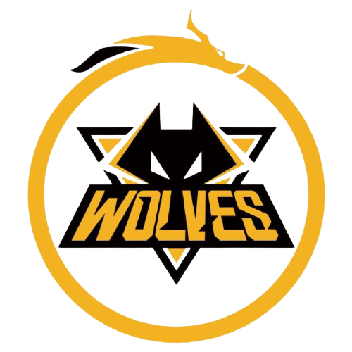 场比赛中的 场比赛中的