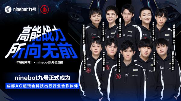 这场比赛证 这场比赛证