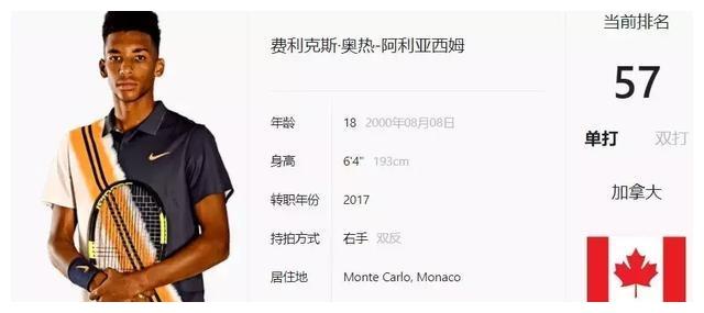 阵容进行了 阵容进行了